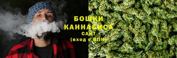 PSILOCYBIN Саяногорск