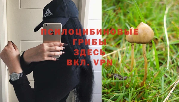 spice Елизово