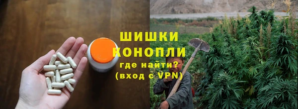 PSILOCYBIN Саяногорск